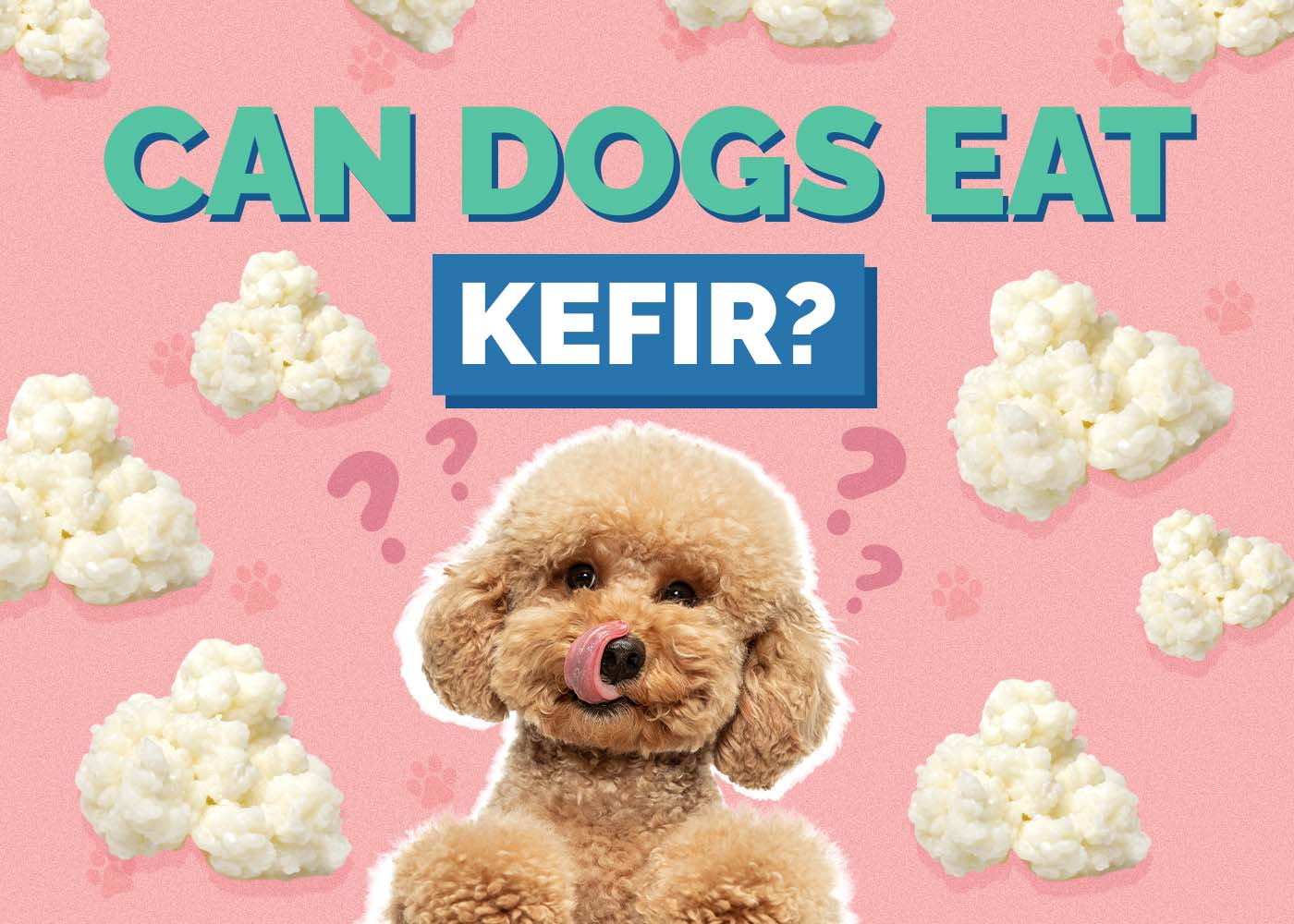 Can Dogs Eat Kefir? Vet-Approved Benefits & Risks