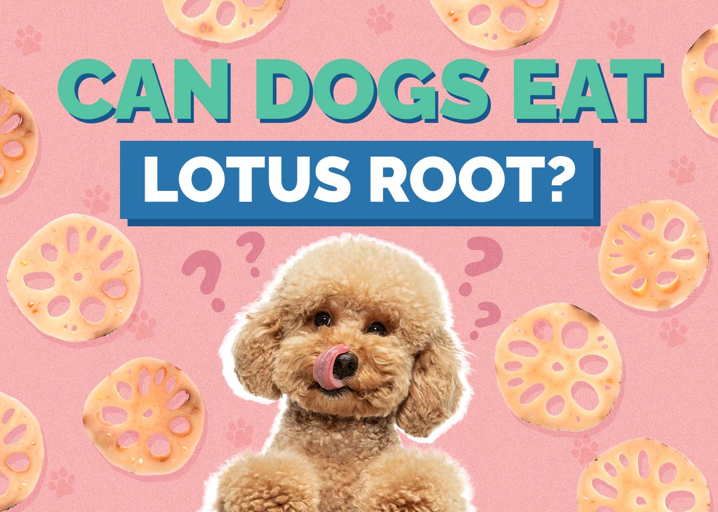 Can Dogs Eat Lotus Root? Vet-Approved Facts & FAQ