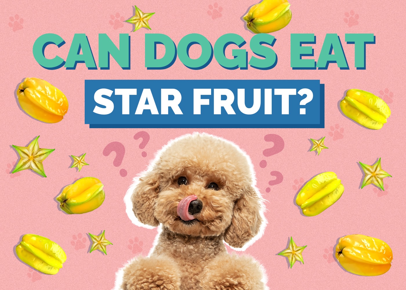 Can Dogs Eat Star Fruit? (Vet Reviewed Safety Information)
