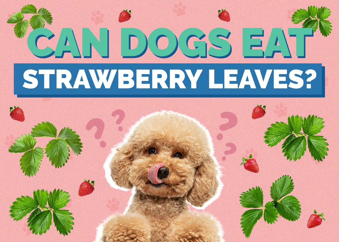 Can Dogs Eat Strawberry Leaves? Vet Reviewed Facts