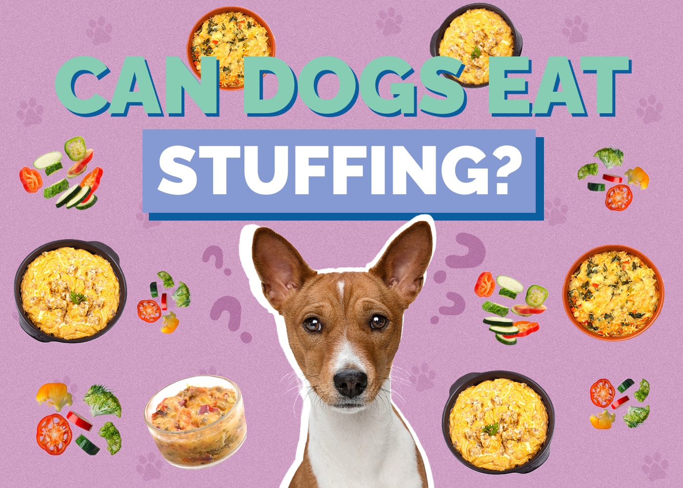 Can Dogs Eat Stuffing? What The Science Says!