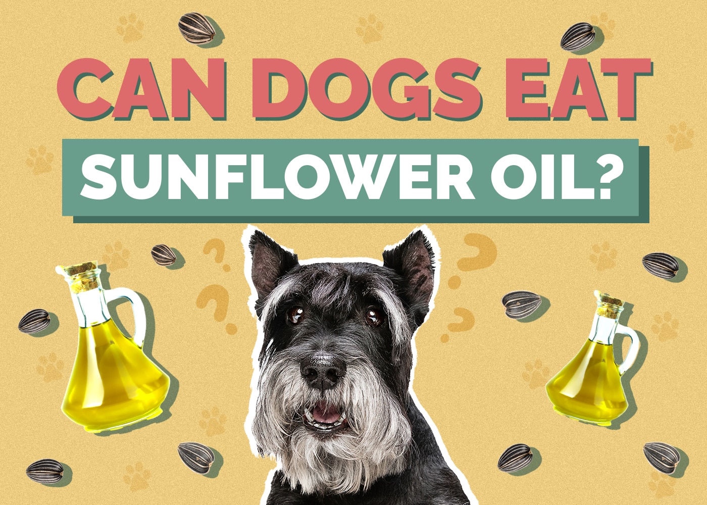 Can Dogs Eat Sunflower Oil? Vet Reviewed Facts & FAQ