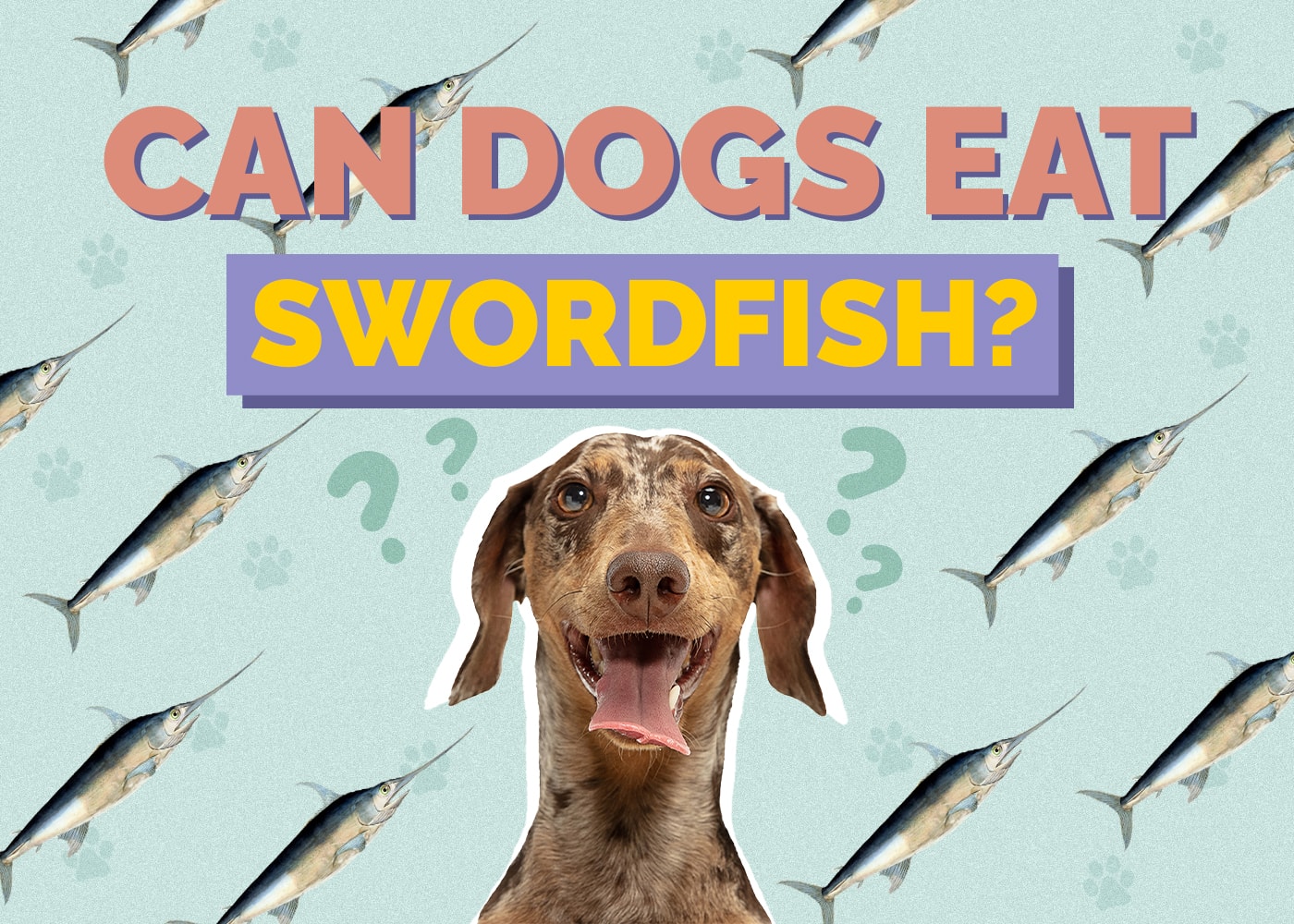 Can Dogs Eat Swordfish? Vet Approved Facts