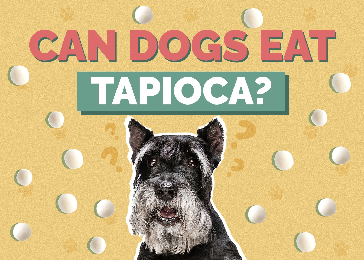 Can Dogs Eat Tapioca? Vet-Reviewed Benefits & Risks