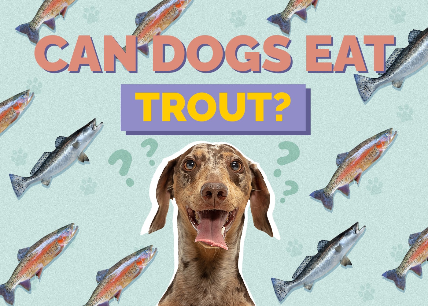 Can Dogs Eat Trout? Vet-Verified Risks & Safety Guide