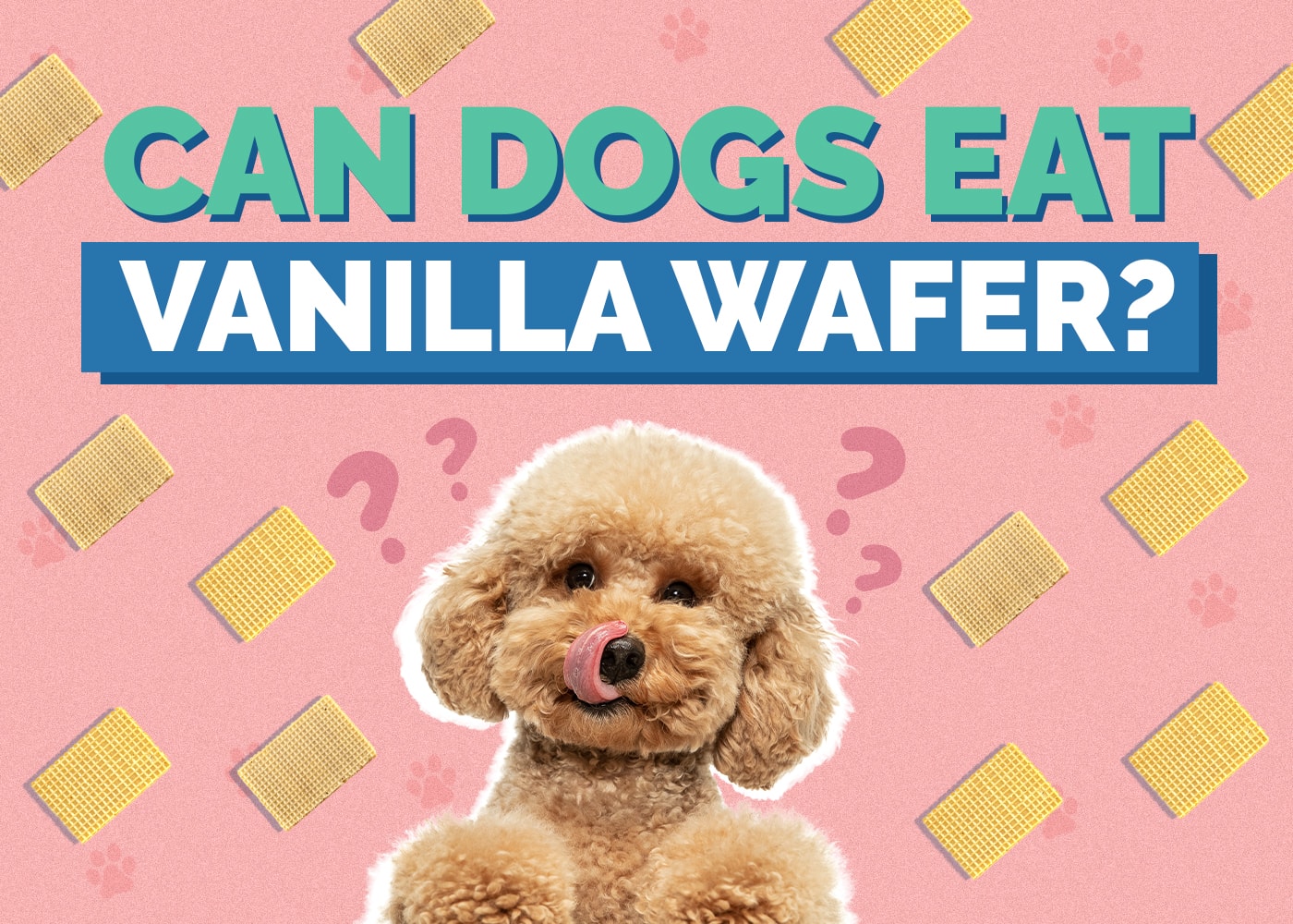 Can Dogs Eat Vanilla Wafers? Vet-Verified Nutrition Facts & Risks