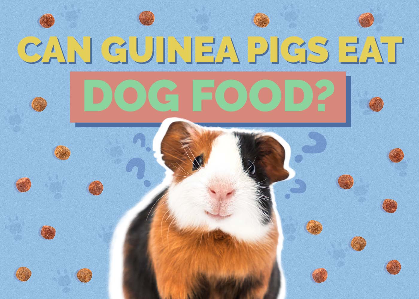 Can Guinea Pigs Eat Dog Food? Vet-Verified Nutrition Facts & Safety Guide