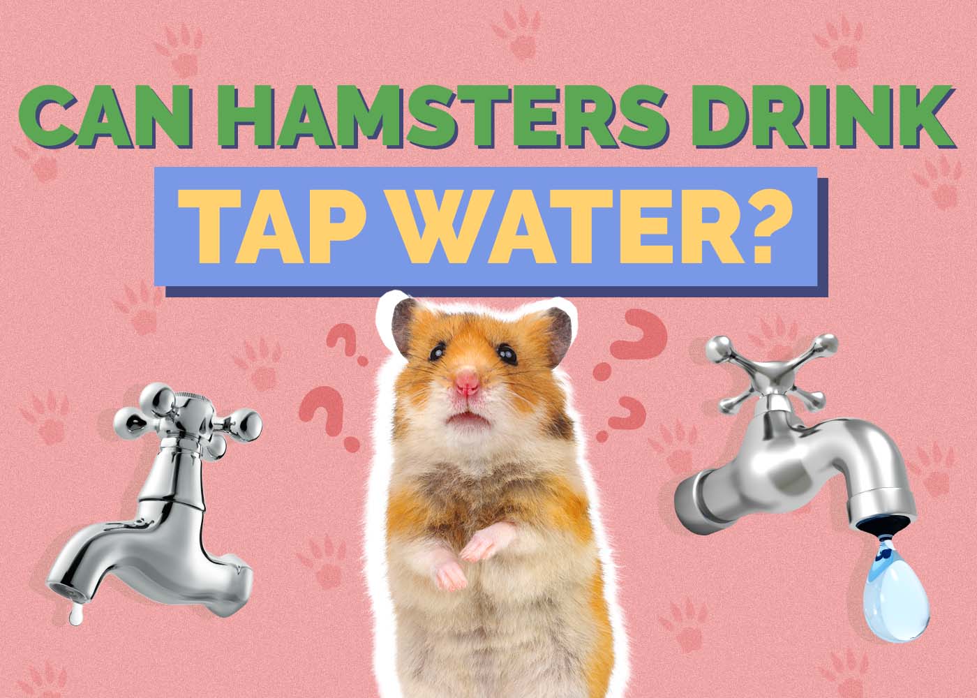 Can Hamsters Drink Tap Water? Vet Approved Facts & Safety Guide