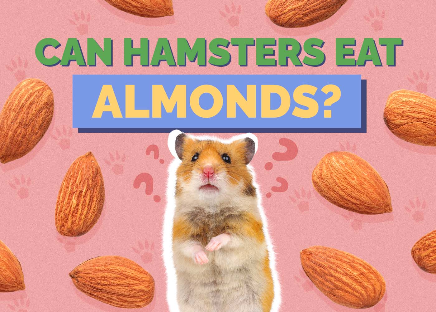 Can Hamsters Eat Almonds? Vet Approved Facts & FAQ