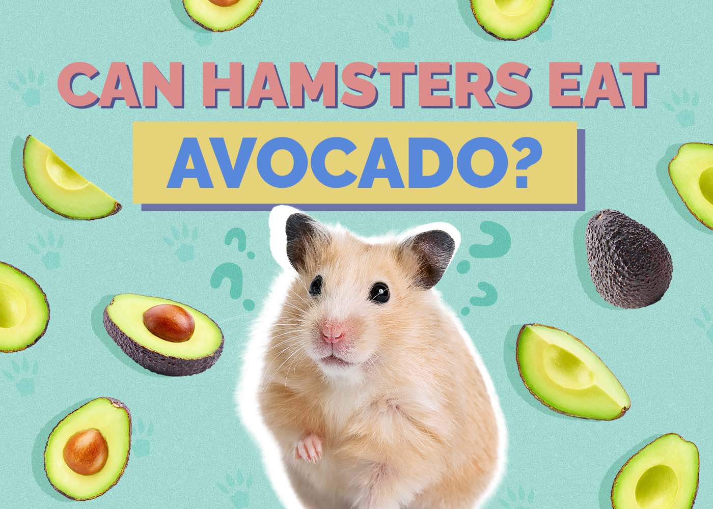 Can Hamsters Eat Avocado? Vet Approved Facts & Alternatives