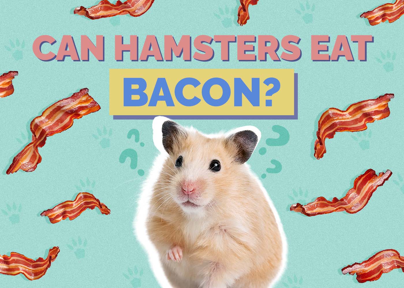 Can Hamsters Eat Bacon? Vet-Approved Nutrition Facts
