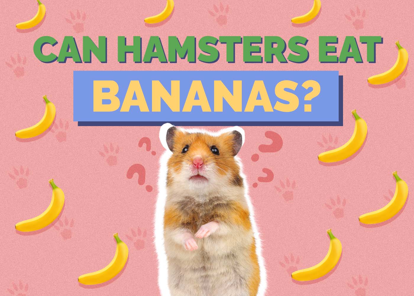 Can Hamsters Eat Bananas? Vet Approved Facts & Feeding Tips