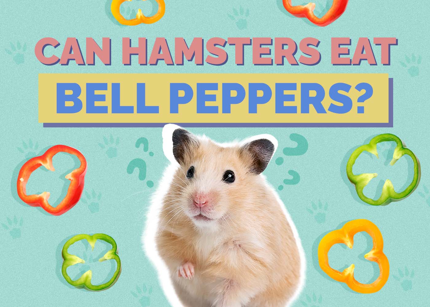 Can Hamsters Eat Bell Peppers? Vet Approved Facts & Safety Guide