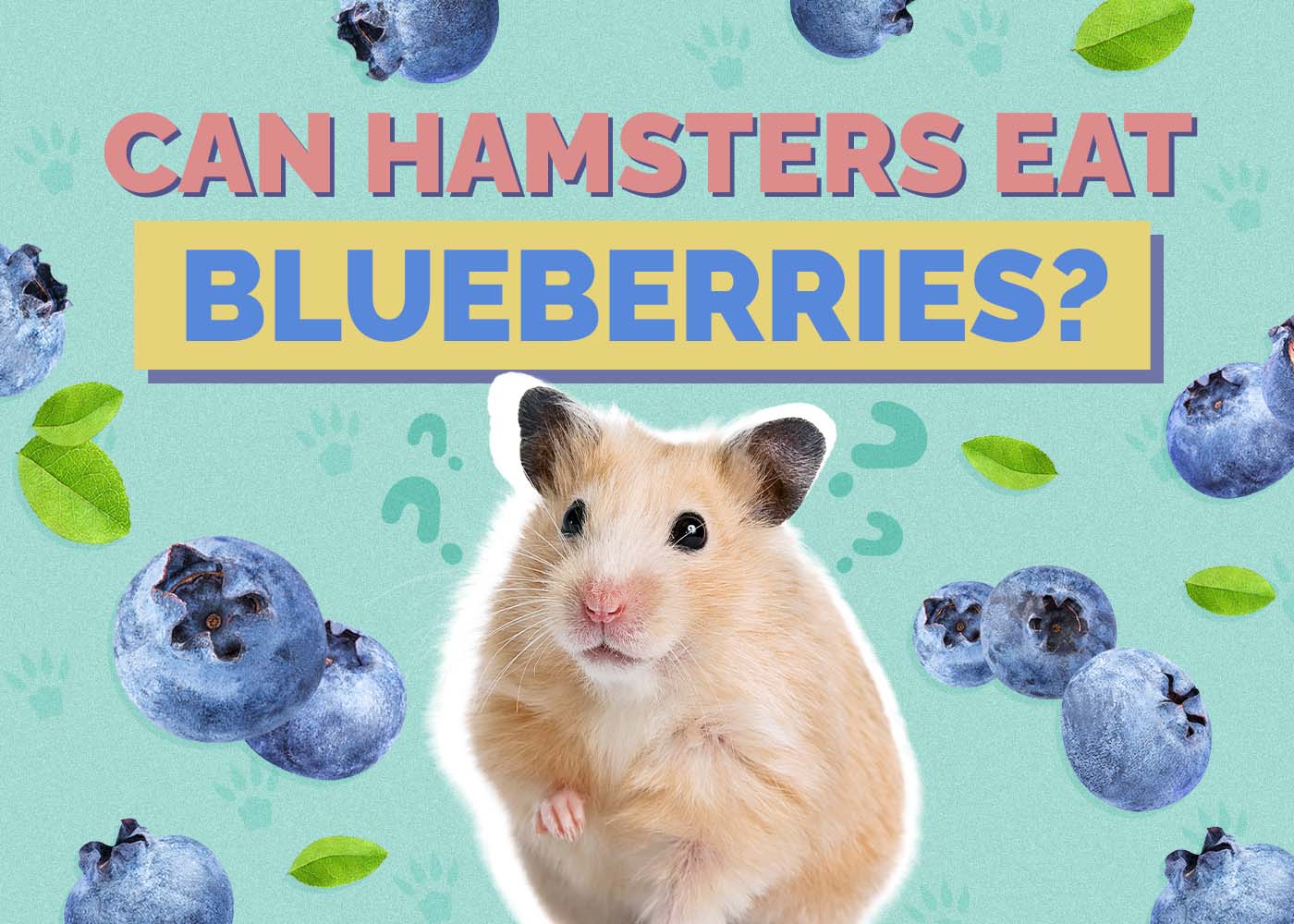 Can Hamsters Eat Blueberries? Vet-Approved Nutritional Value & FAQ