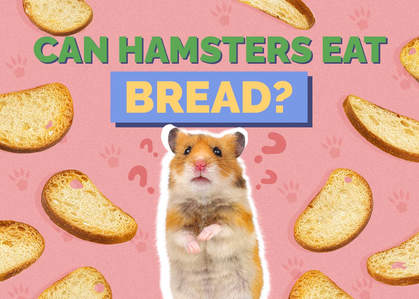 Can Hamsters Eat Bread? Vet-Reviewed Proper Diet Tips & Facts