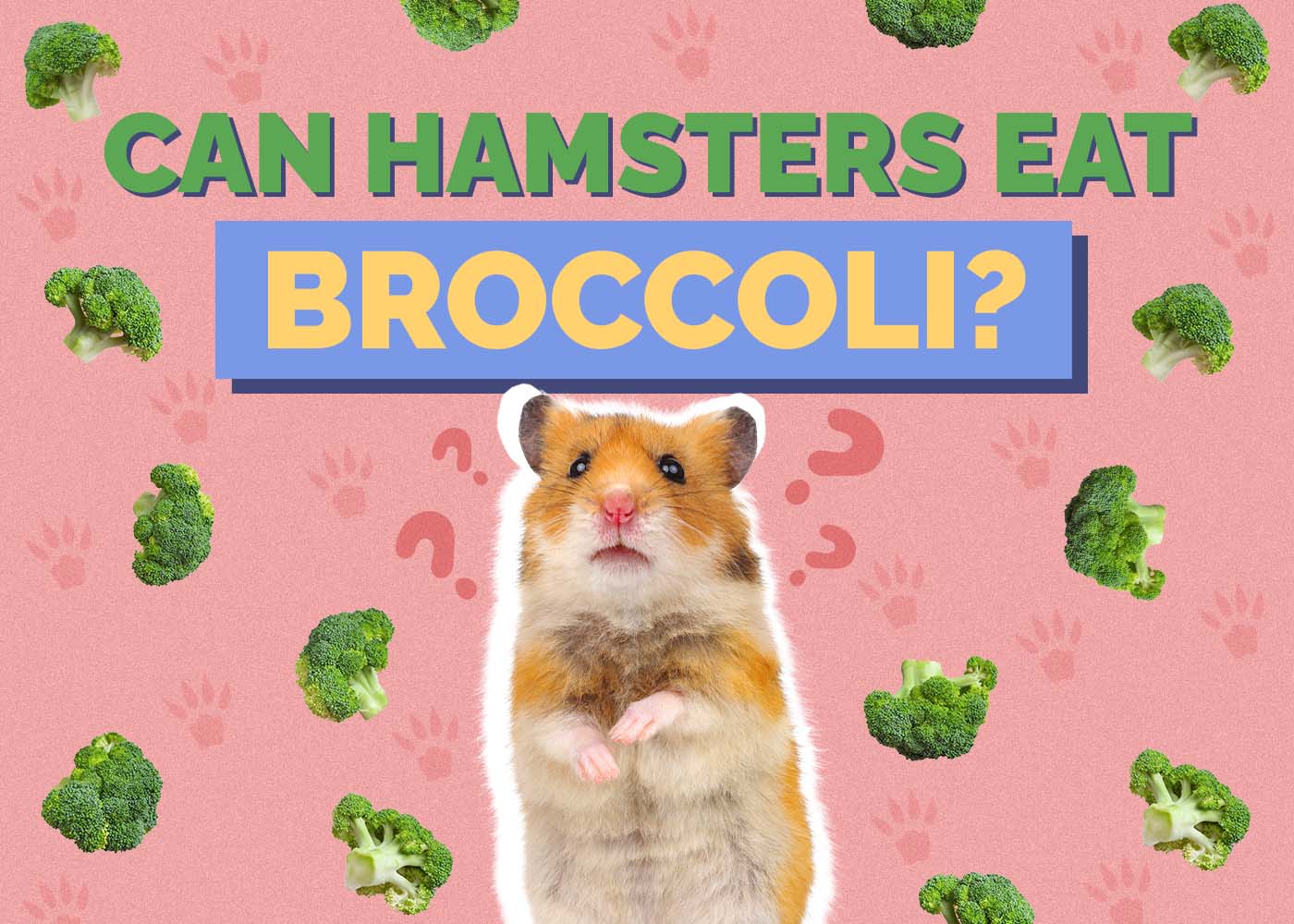 Can Hamsters Eat Broccoli? Vet-Approved Facts & FAQ