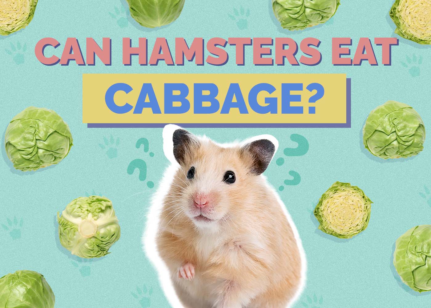 Can Hamsters Eat Cabbage? Vet Reviewed Facts & FAQ