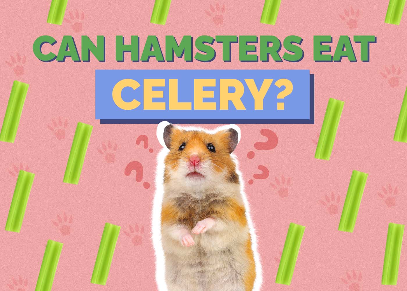 Can Hamsters Eat Celery? Vet-Verified Benefits, Risks & FAQ