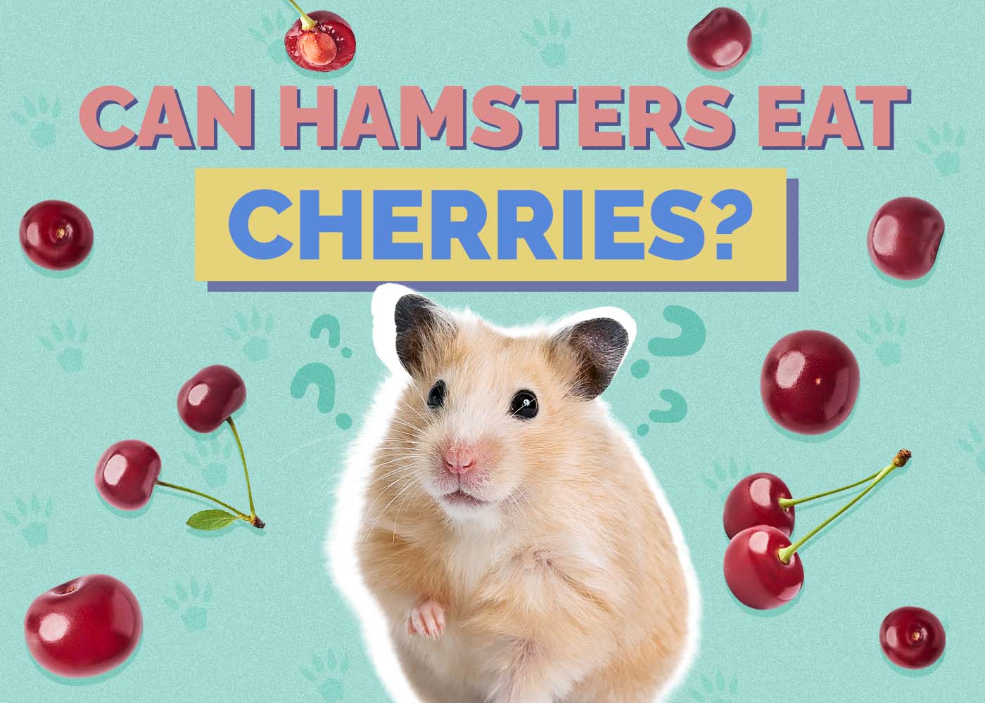 Can Hamsters Eat Cherries? Vet-Verified Facts & FAQ
