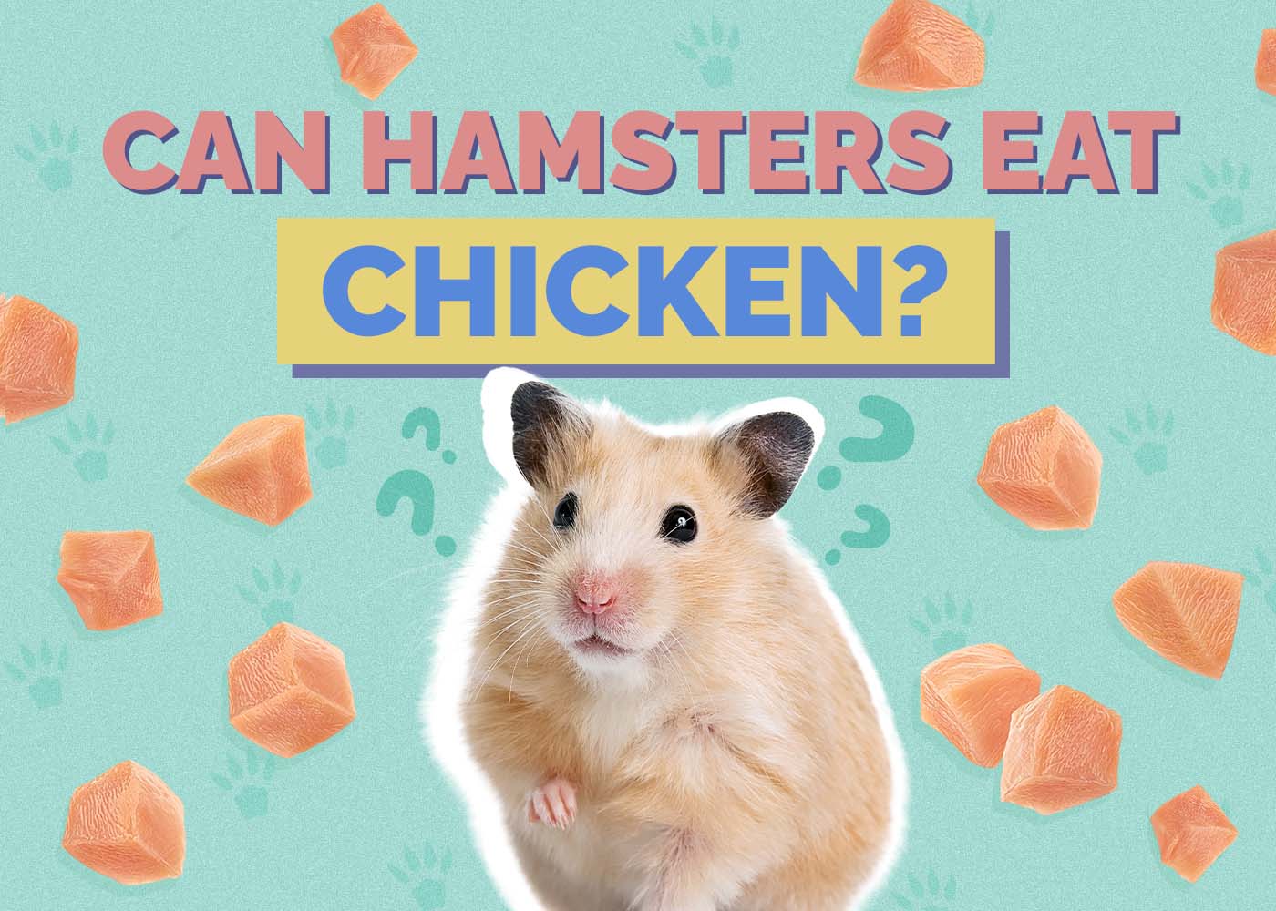 Can Hamsters Eat Chicken? Vet-Approved Benefits & Other Safe Meats