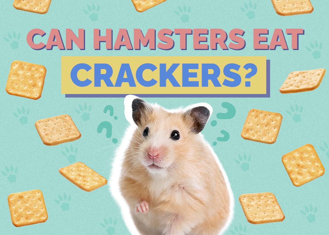 Can Hamsters Eat Crackers? Vet Reviewed Risks & Safety Tips
