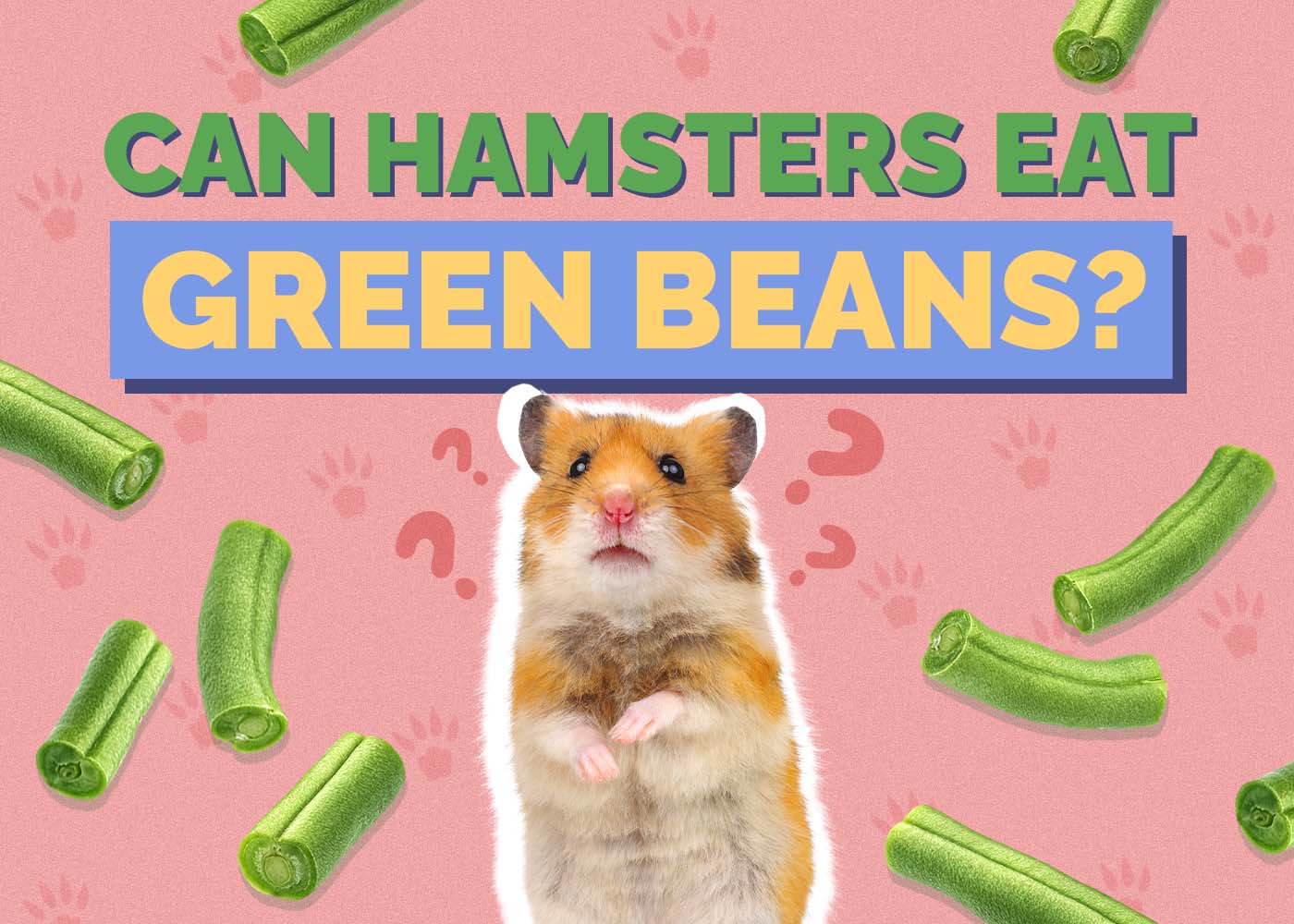 Can Hamsters Eat Green Beans? Vet-Reviewed Nutritional Benefits & FAQ