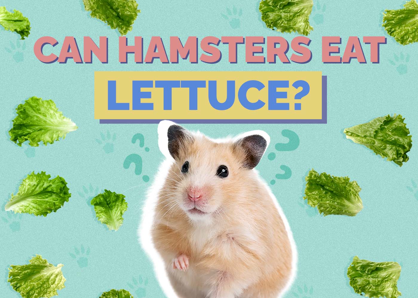 Can Hamsters Eat Lettuce? Vet-Approved Facts & FAQ