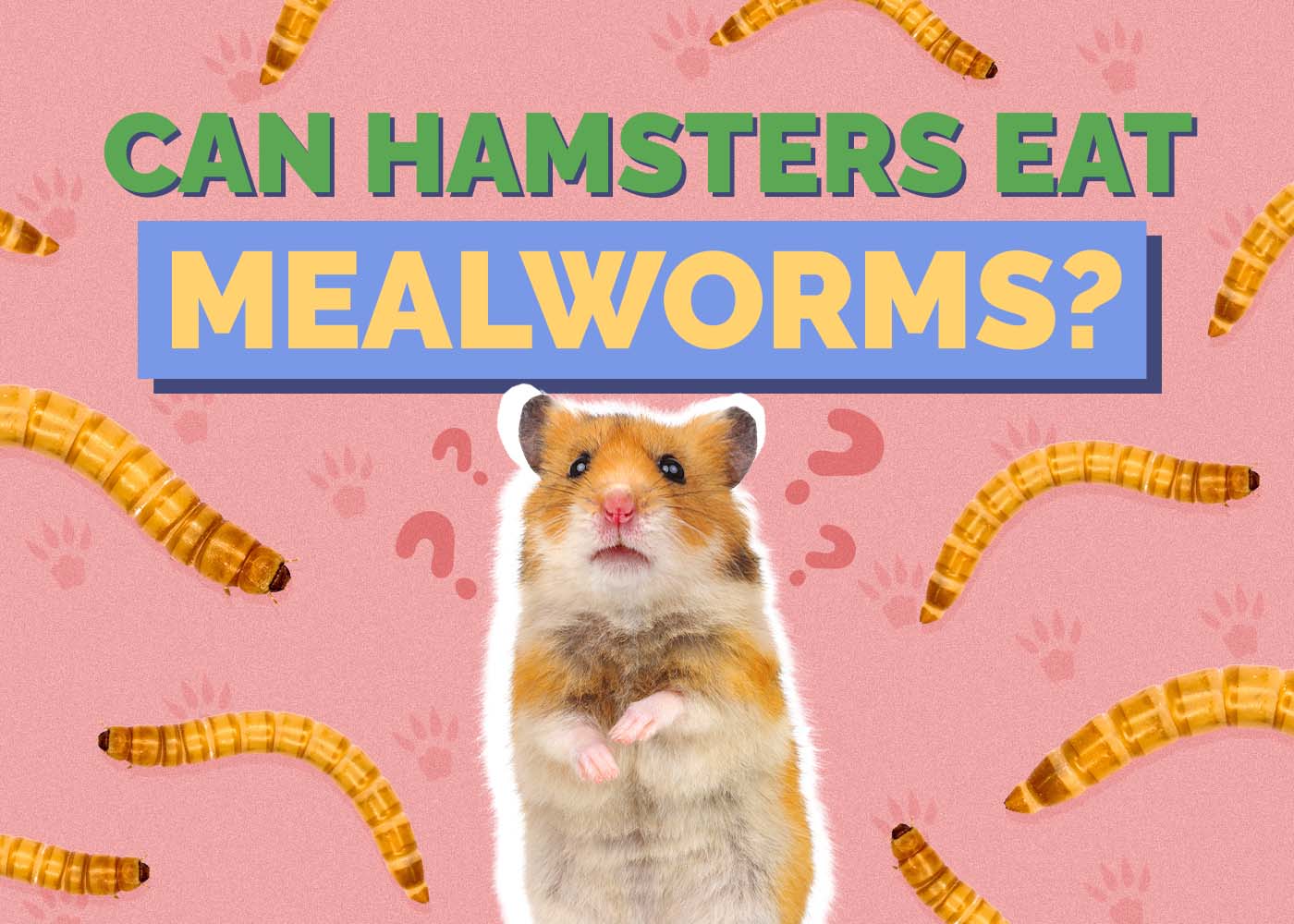Can Hamsters Eat Mealworms? Vet Approved Facts & Feeding Tips