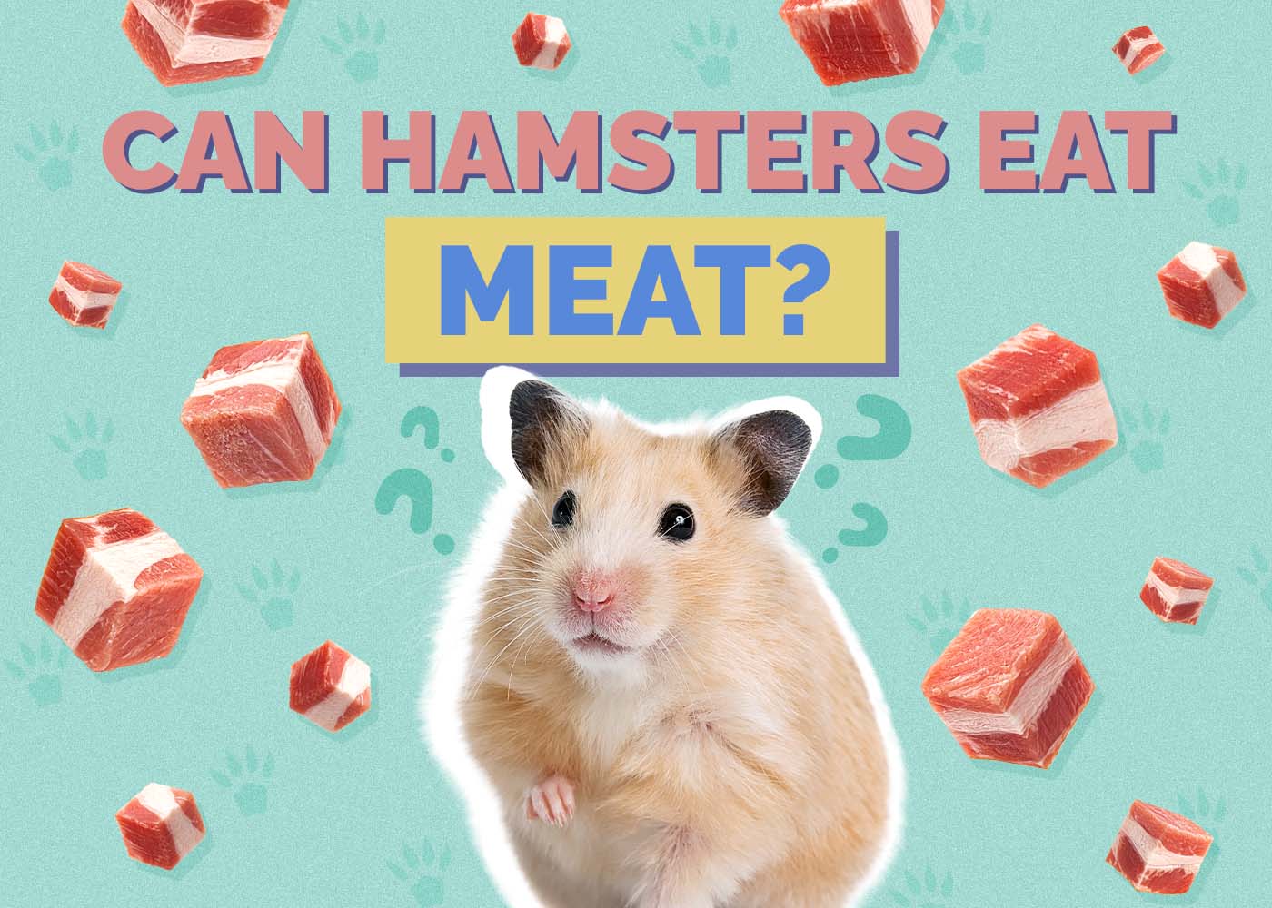 Can Hamsters Eat Meat? Vet-Reviewed Facts & FAQ