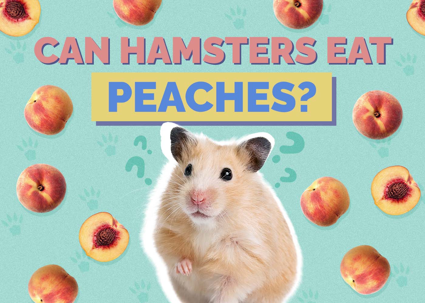 Can Hamsters Eat Peaches? Vet Approved Facts & FAQ