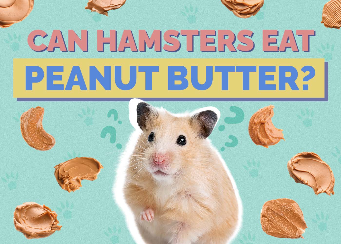 Can Hamsters Eat Peanut Butter? Vet-Verified Concerns & FAQ