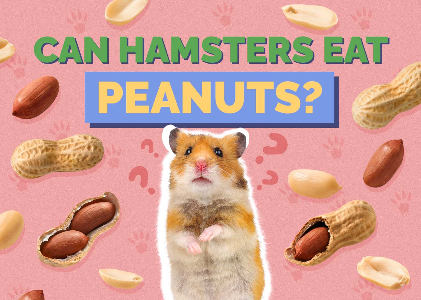 Can Hamsters Eat Peanuts? Vet-Verified Nutritional Benefits & FAQ