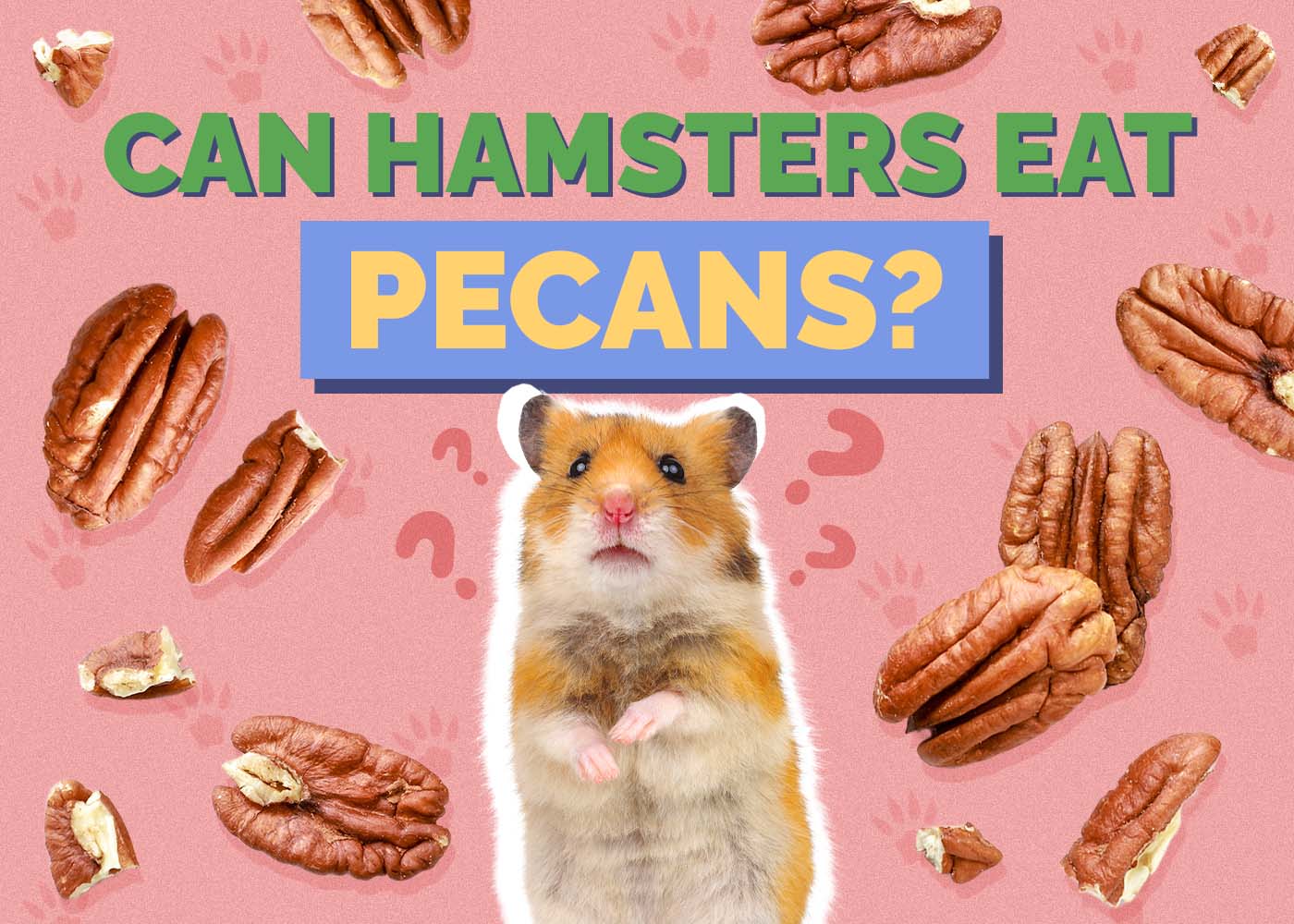 Can Hamsters Eat Pecans? Vet Approved Nutrition Facts & FAQ