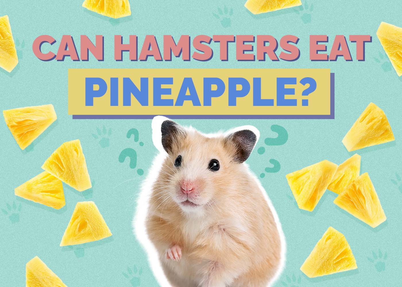 Can Hamsters Eat Pineapple? Vet Reviewed Benefits & Downfalls