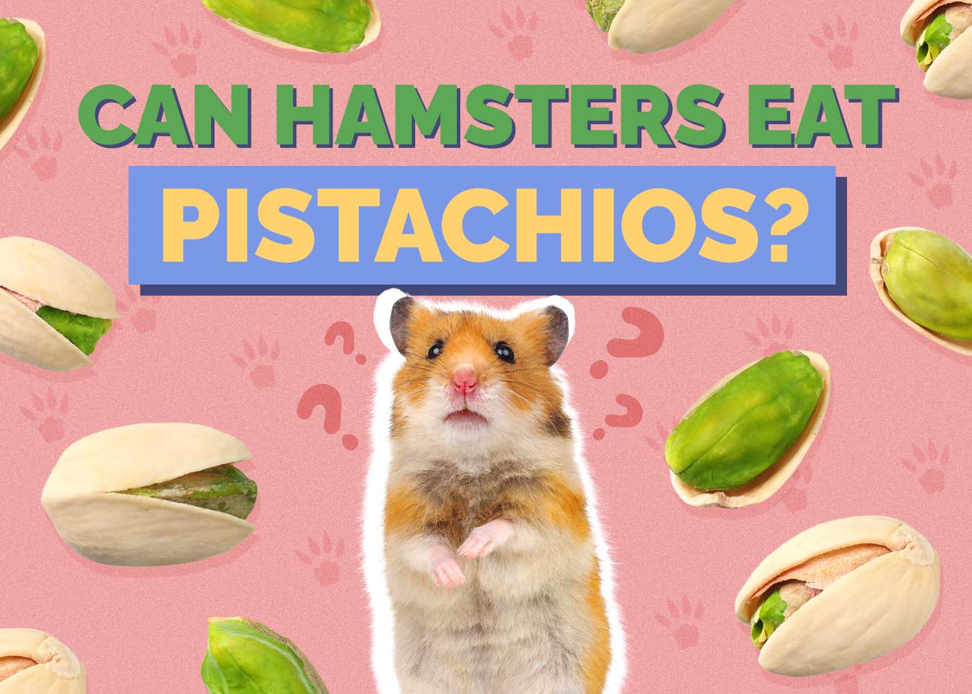 Can Hamsters Eat Pistachios? Vet-Reviewed Nutritional Facts & FAQ