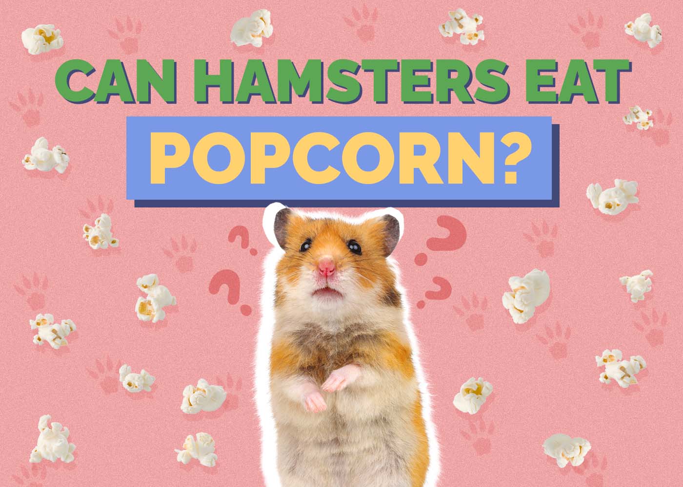Can Hamsters Eat Popcorn? Vet-Reviewed Nutritional Value & FAQ
