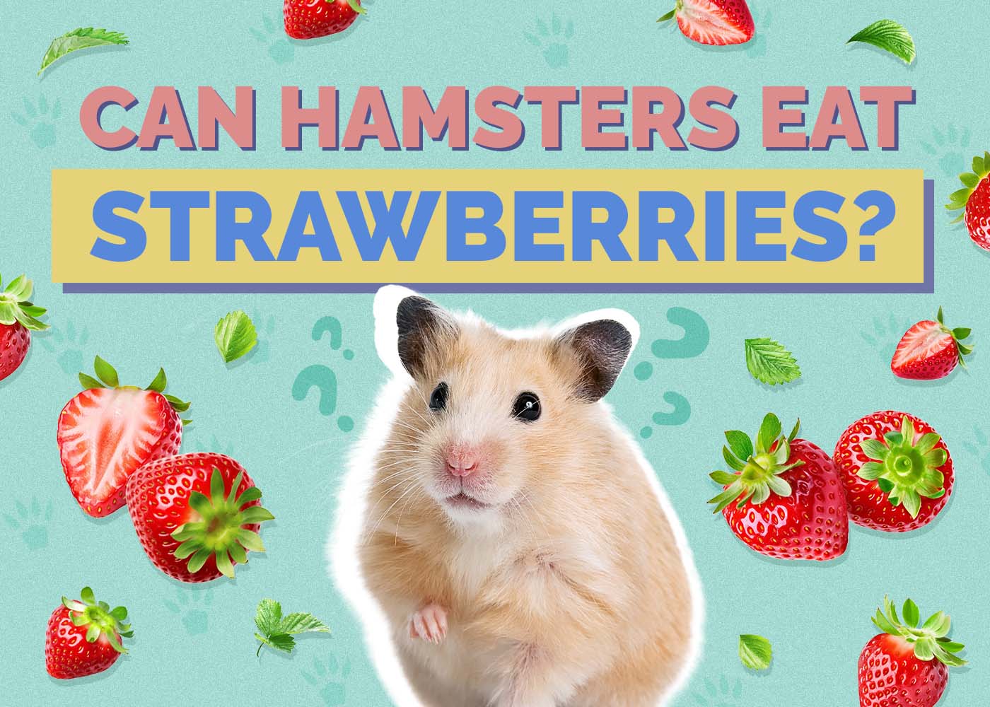 Can Hamsters Eat Strawberries? Vet Approved Facts & FAQ