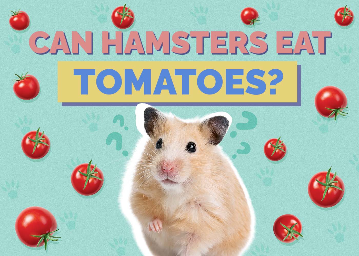 Can Hamsters Eat Tomatoes? Vet Approved Facts & Safety Tips
