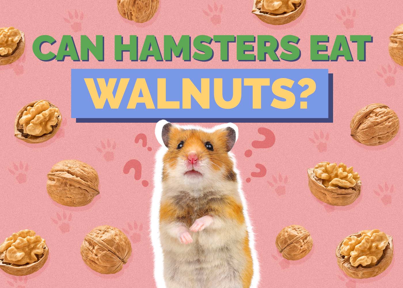 Can Hamsters Eat Walnuts? Vet Approved Nutrition Facts & FAQ