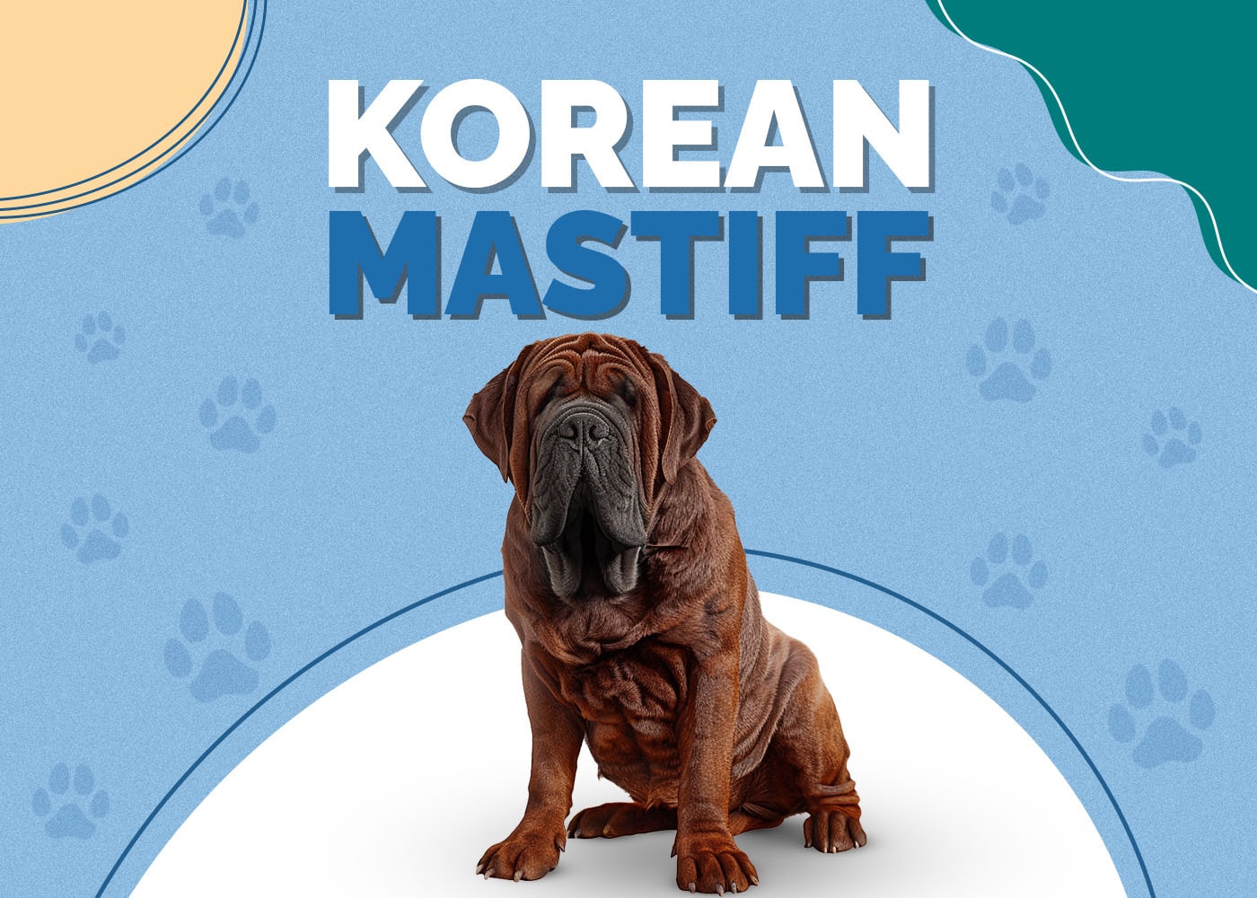 Korean Mastiff: Pictures, Info, Temperament & Traits
