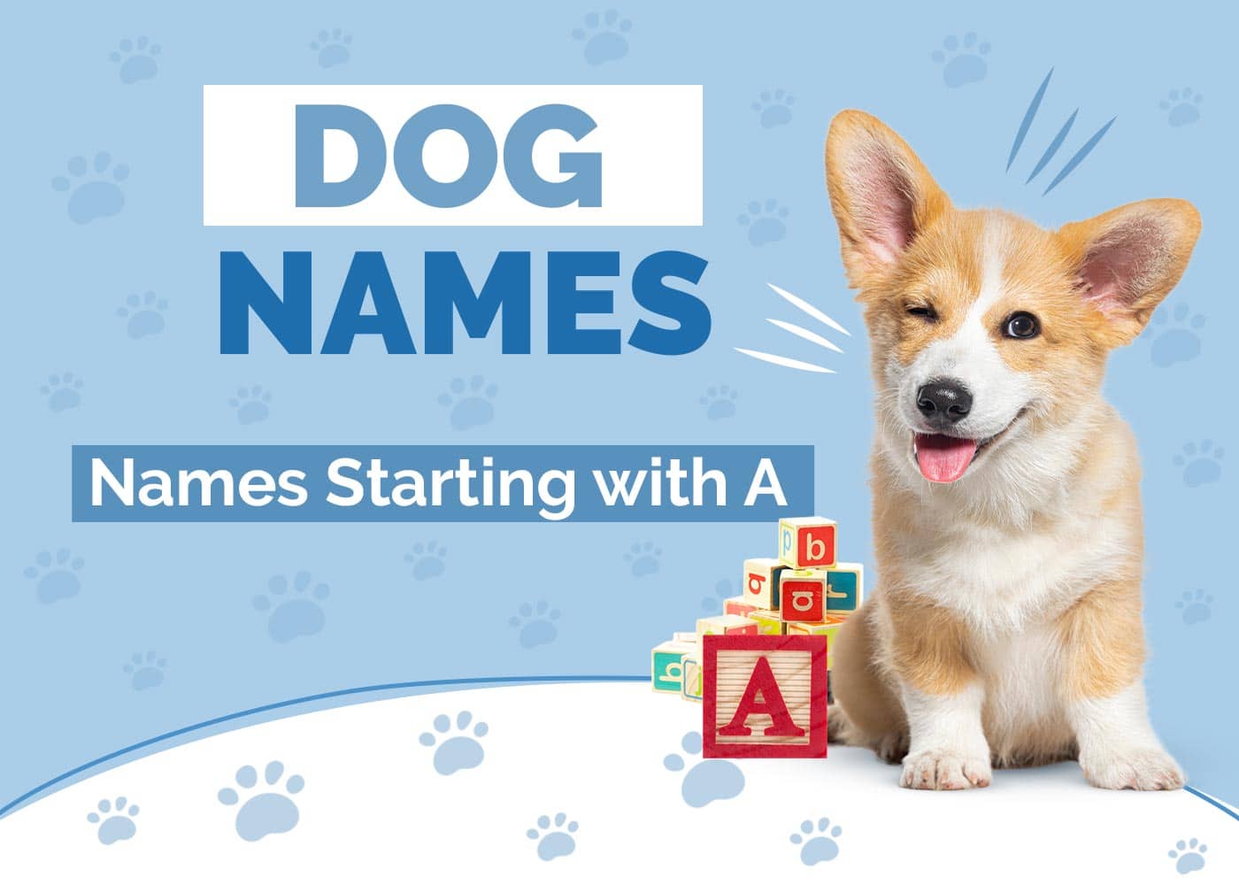 120 Dog Names Starting With A for Your Amazing Pup