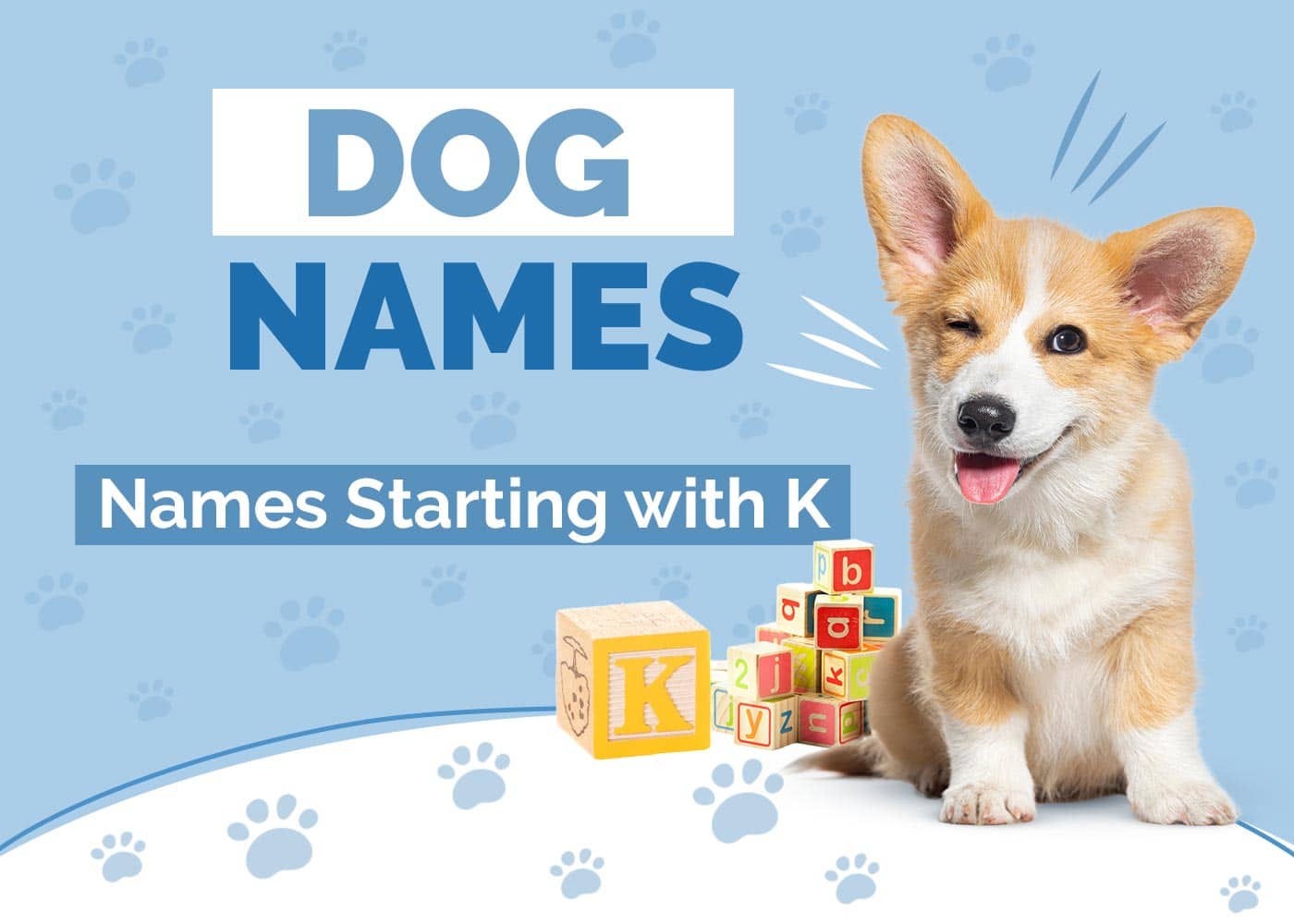 200+ Dog Names Starting With K for Your Kindhearted Pup