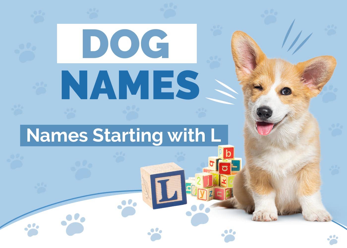 250+ Dog Names Starting With L for Your Lovely Pup
