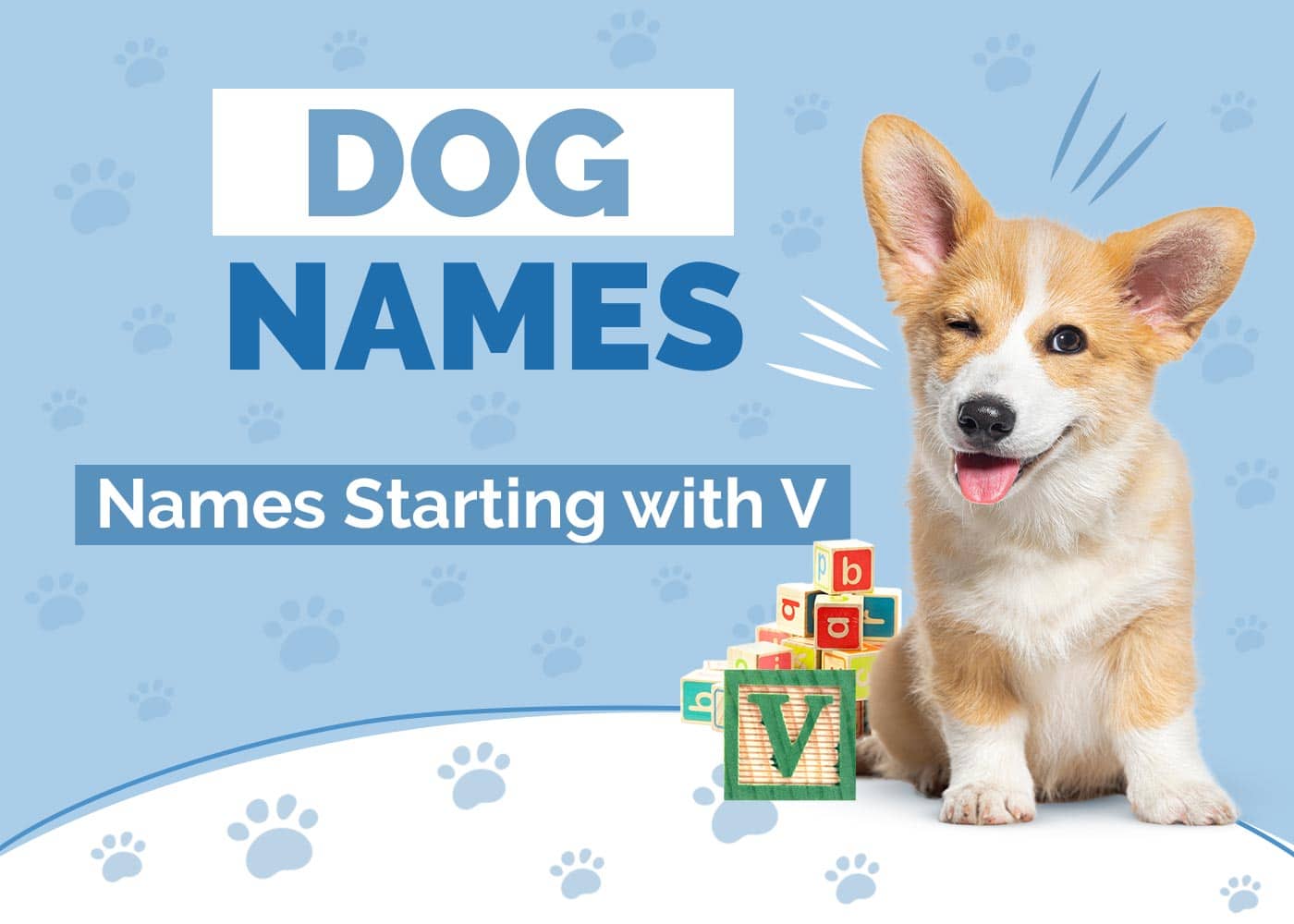 105 Dog Names Starting With V: Ideas for Your Valuable Friend