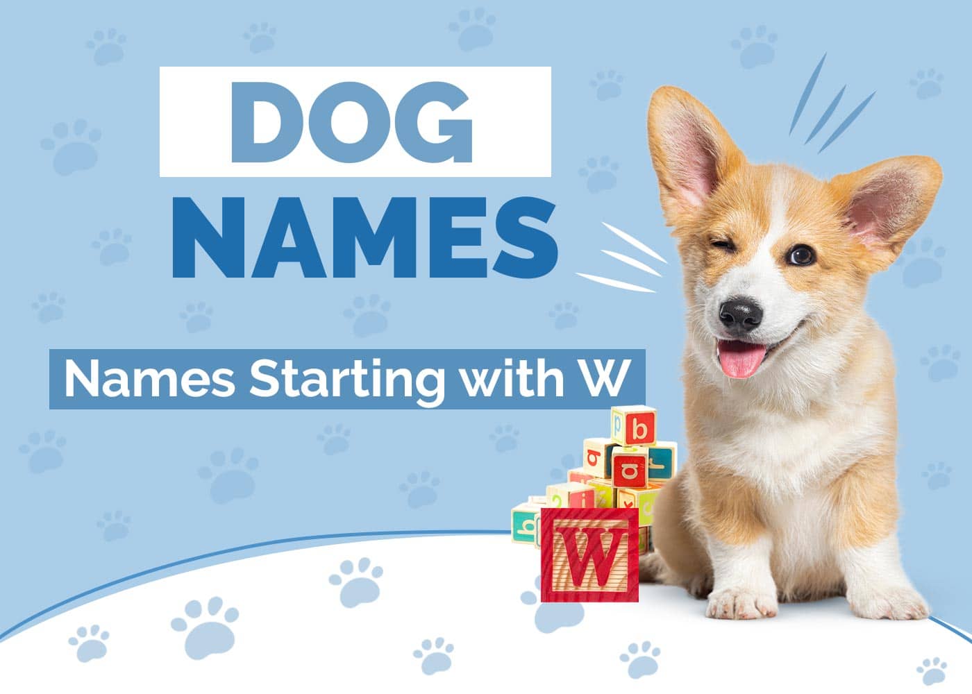 100+ Dog Names Starting With W for Your Adorable Pup