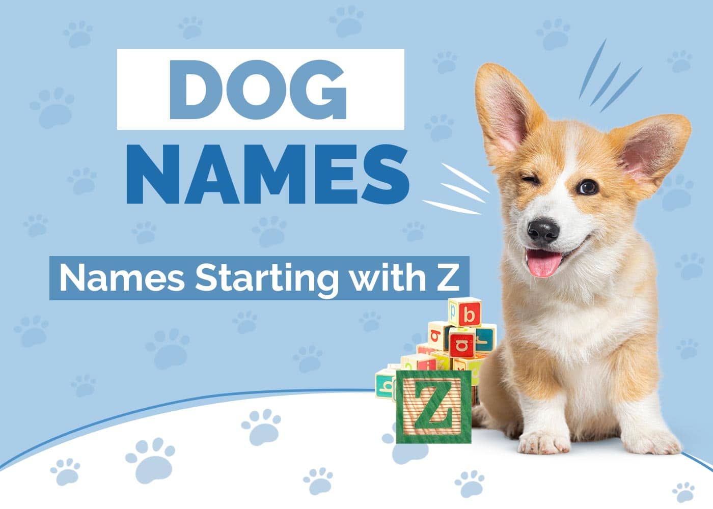 90 Dog Names Starting With Z for Your Pup (With Meaning)