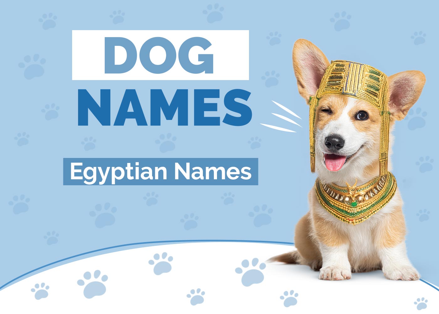 100+ Egyptian Dog Names: Ancient, Traditional & Unique Ideas