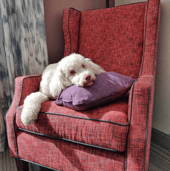 Hilton Garden Inn Reno