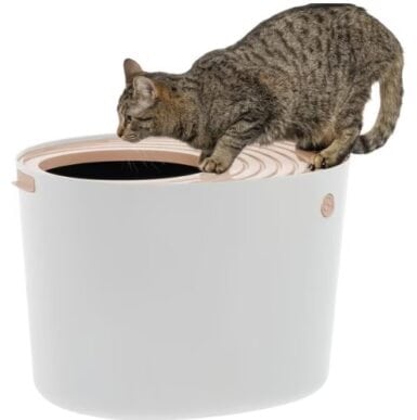 IRIS USA Round Top Entry Cat Litter Box &amp; Scoop