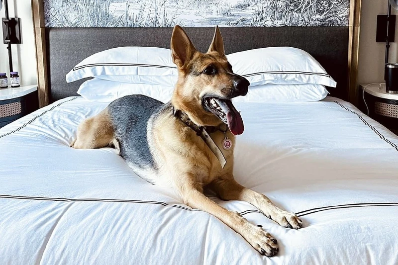 Kimpton Cottonwood Hotel